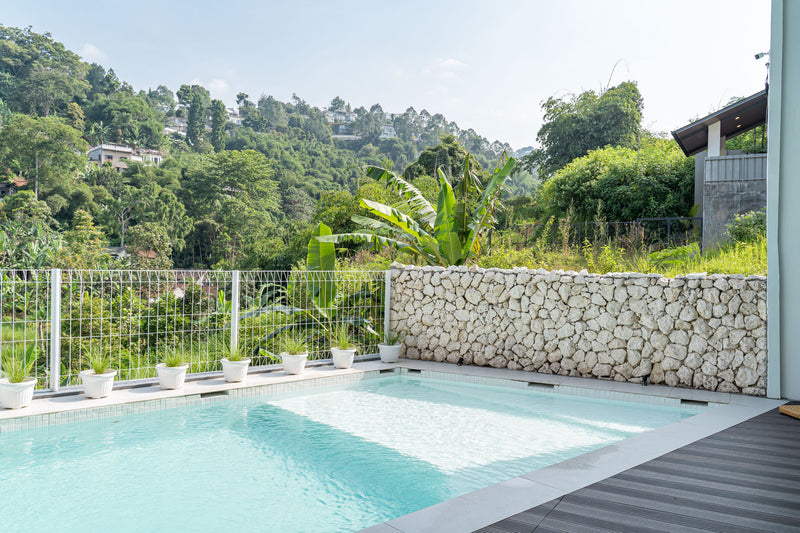 Lavender Rooftop Villa